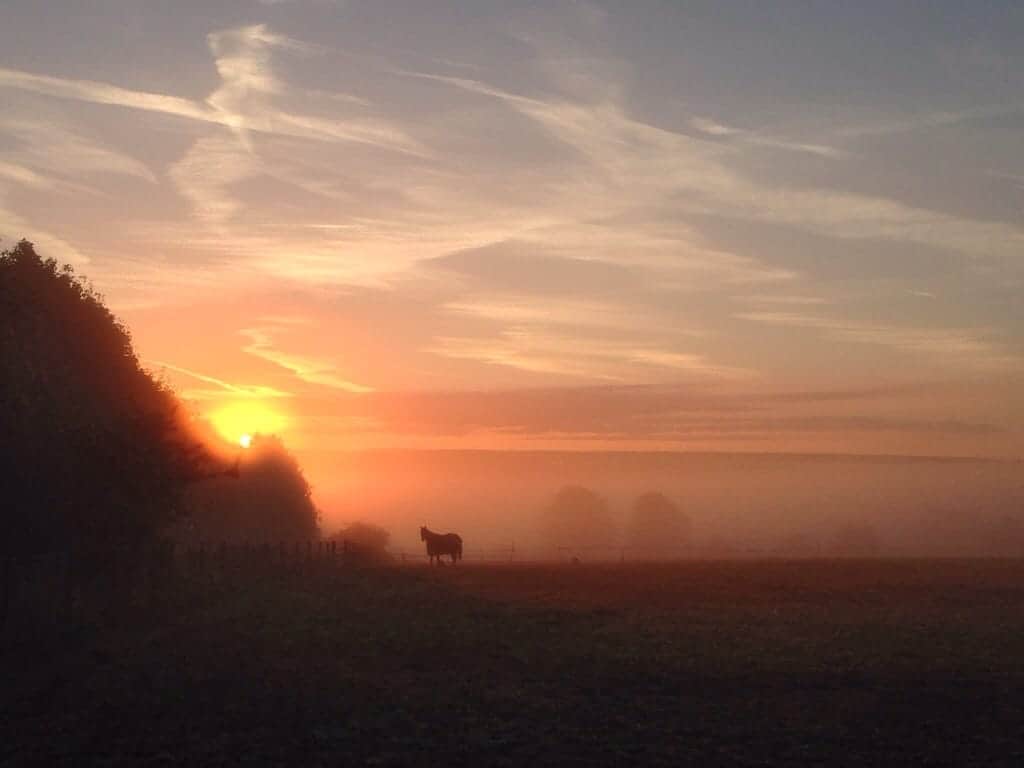 A morning sunrise captured on a iPhone 5!