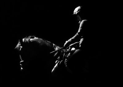 equine horse portrait photographer wiltshire hampshire