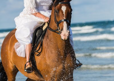 trash the dress beach horse photo shoot bride jersey