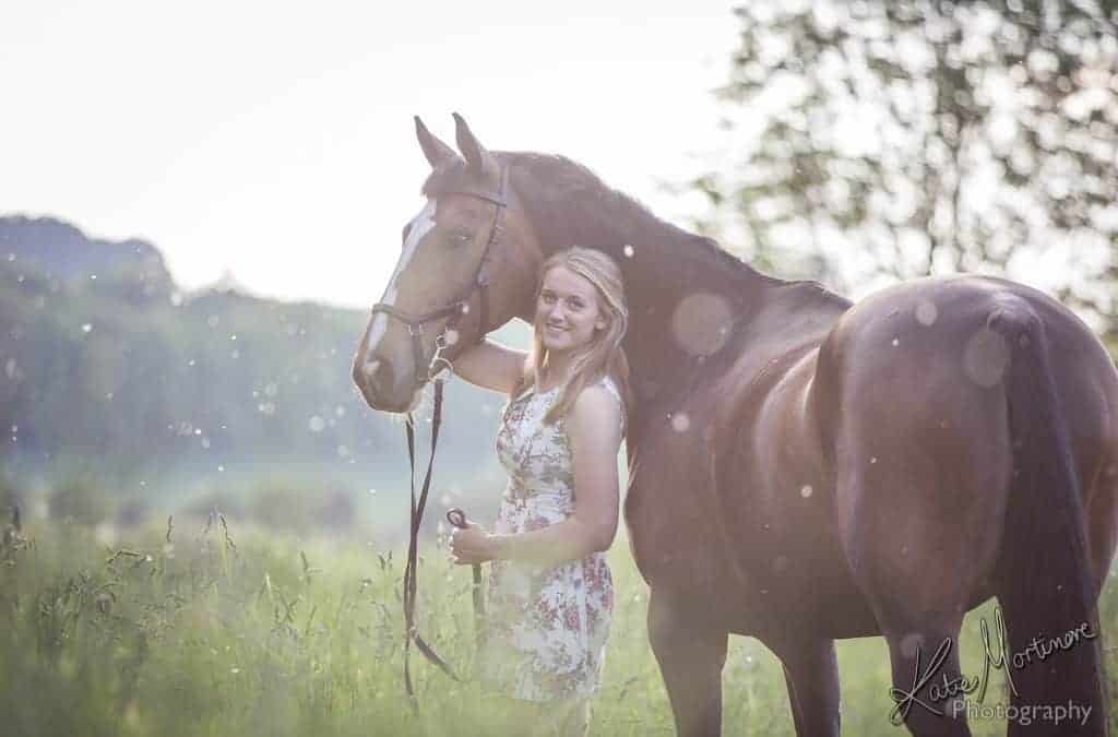 equine equestrian portrait wiltshire hampshire devon photographer