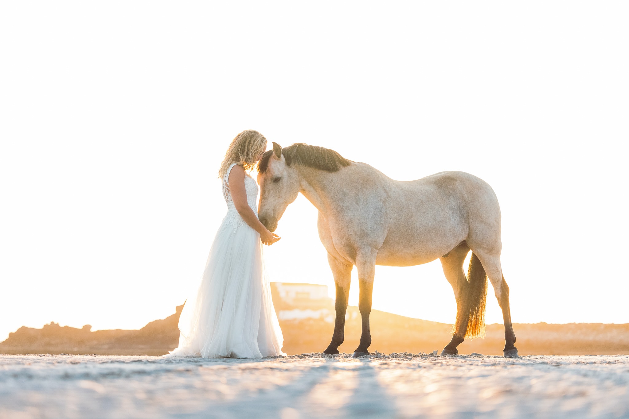 cherish wedding dress jersey bride horse beach boho